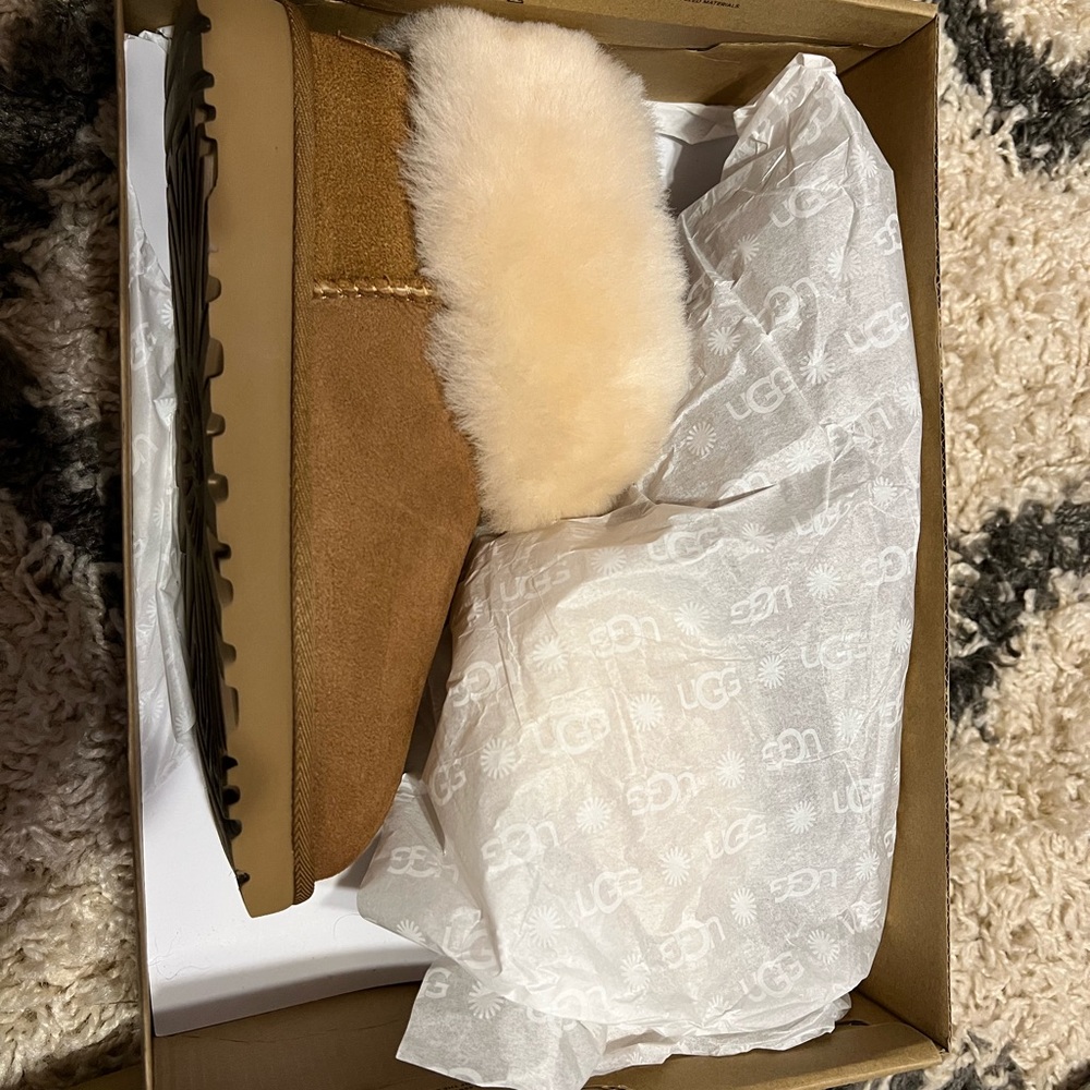 BRAND NEW UGGS IN BOX